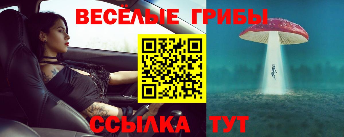 Ликино-Дулёво  Галлюциногенные грибы прущие грибы  Галлюциногенные грибы прущие грибы  Вход с VPN 